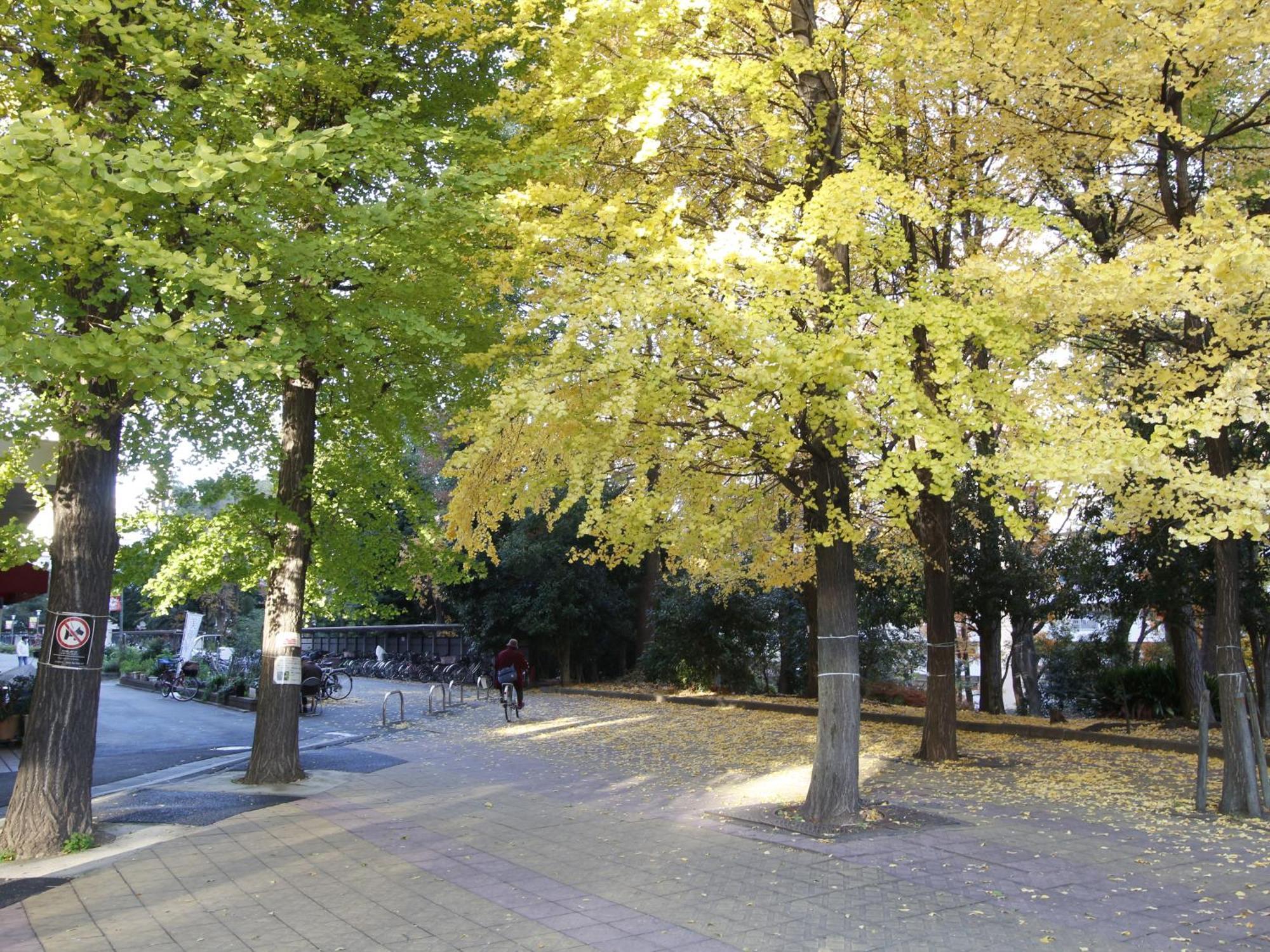 和貴ビル Apartment Tokyo Exterior photo